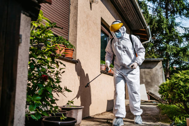 Best Best Pest Control Near Me  in North Enid, OK
