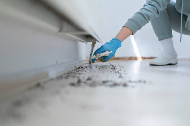 Best Exterminator Services  in North Enid, OK